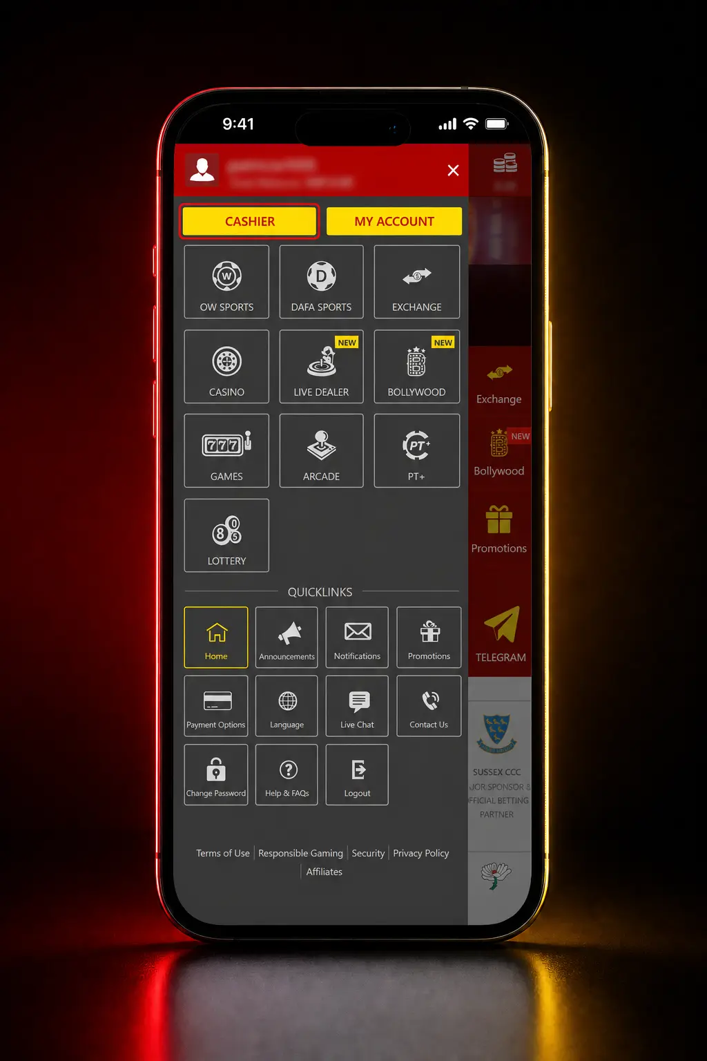 Step-by-step screenshot guide showing how to withdraw money from Dafabet account using UPI, bank transfer, or crypto.